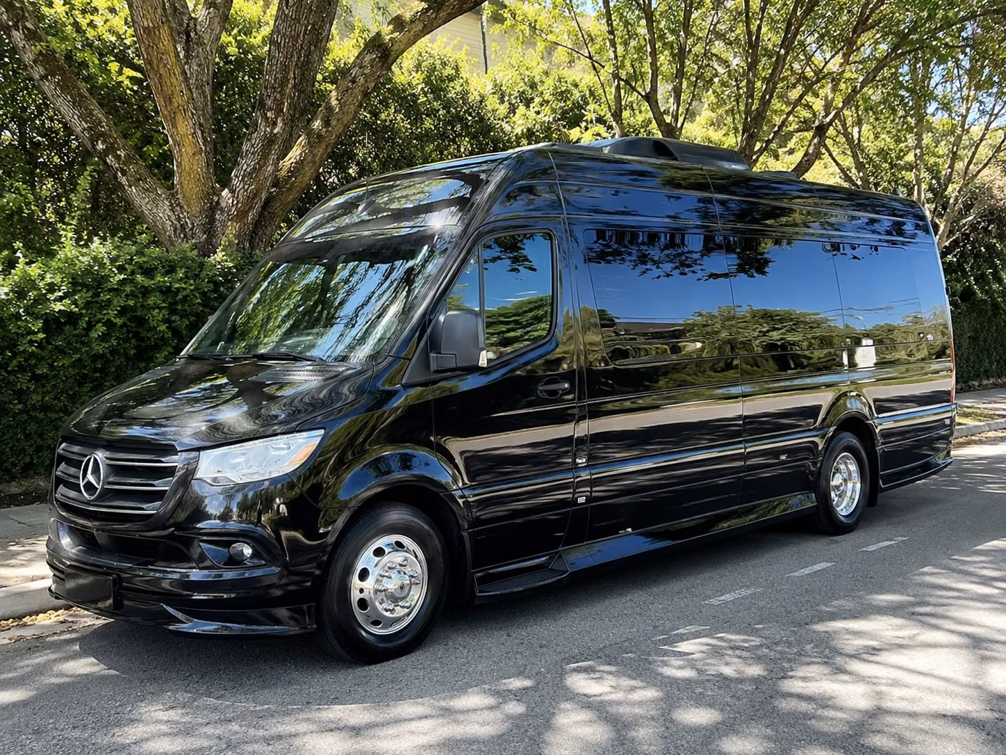 el monte sprinter van with driver